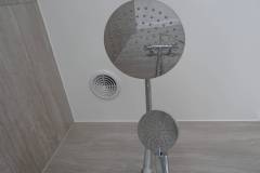 fixed-shower-head-and-ceiling-extractor