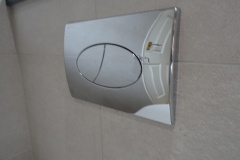 toilet-large-flush-button
